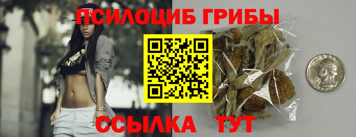 Галлюциногенные грибы Psilocybine cubensis  Вход с VPN  Кызыл  Галлюциногенные грибы Psilocybine cubensis 